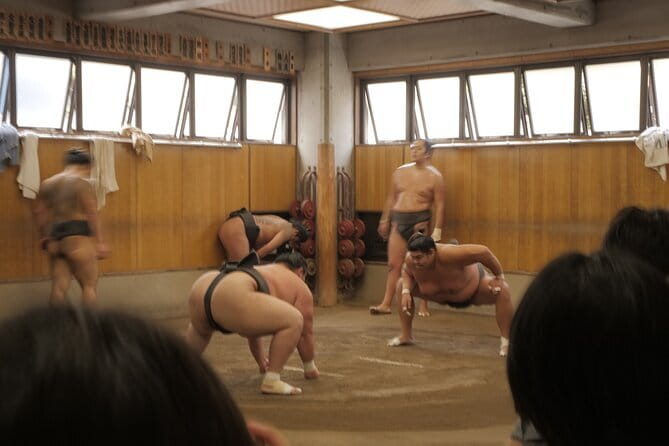 Tokyo Sumo Morning Practice Tour w/ Ring-Side Seat + Photo Shoot - Stop 1: the sumo stable practice (tatami-only viewing and close-up training)