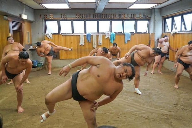 Tokyo Sumo Morning Practice Tour w/ Ring-Side Seat + Photo Shoot - The “ring-side seat” idea and what you should expect in reality