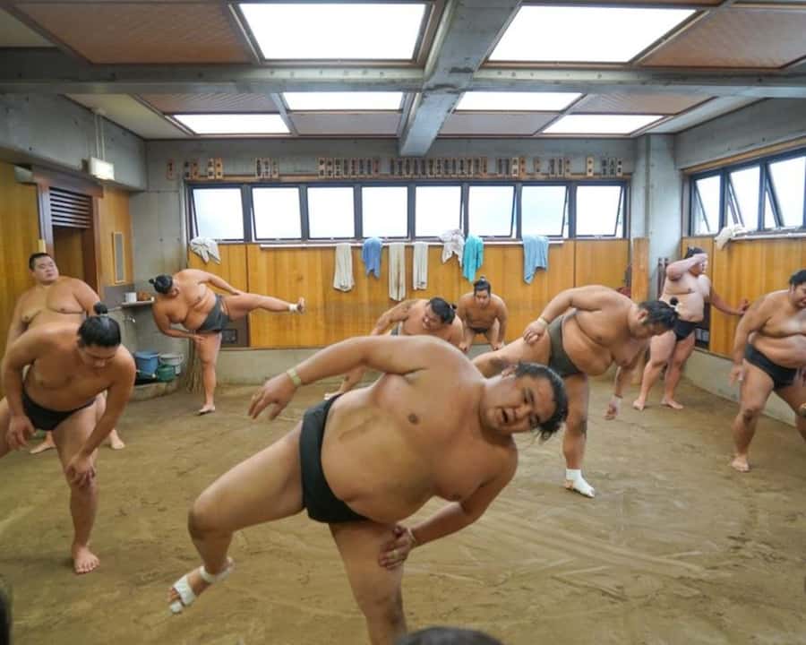 Tokyo: Sumo Practice Tour with Ring-Side Seat and Photoshoot - The decision: should you book this sumo tour?