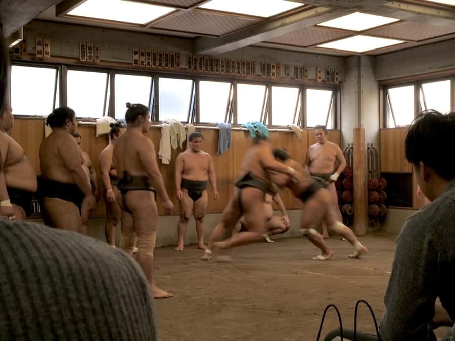 Tokyo: Sumo Practice Tour with Ring-Side Seat and Photoshoot - The end photoshoot: up close, but respectful of the rules