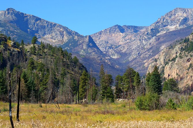 Top of the World Tour (Wildside 4x4 Tours) - Old Fall River Road: the dirt-road climb that turns photos into memories