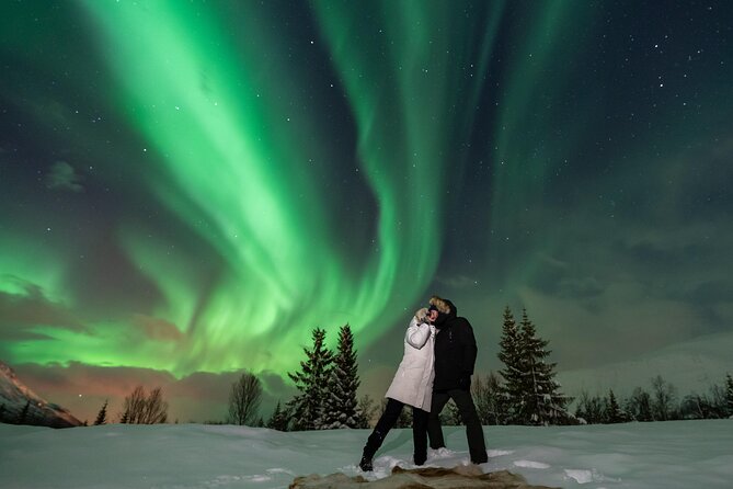 Tromsø: Aurora Magic Northern Lights Tour with Photos - Viewing the sky without losing your mind: patience, intensity, and timing