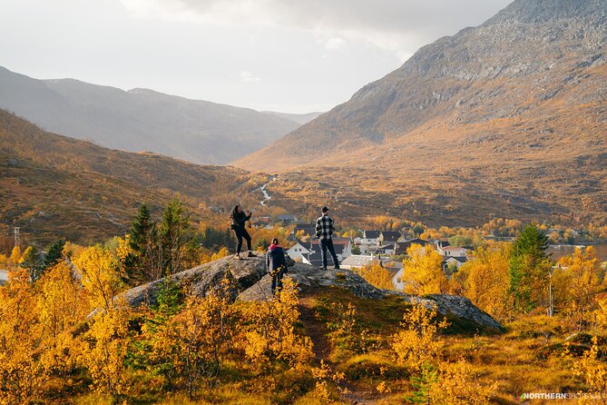 Tromsø: Day trip to the island of Sommarøy through the Fjords - Key Highlights You’ll Actually Care About