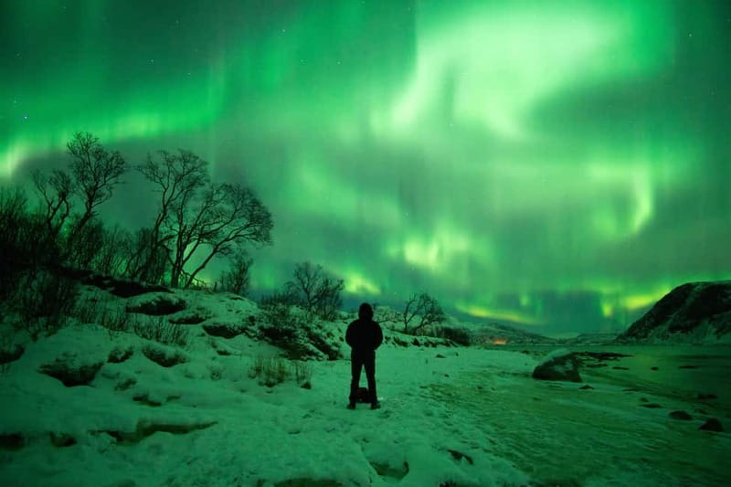 Tromsø: Northern Lights Hunt with Photographer - Key highlights you’ll actually feel during the night