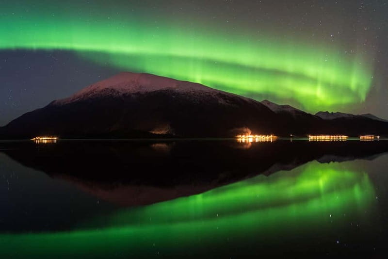 Tromsø: Northern Lights Hunt with Photographer - Price ($241) and whether this feels like good value