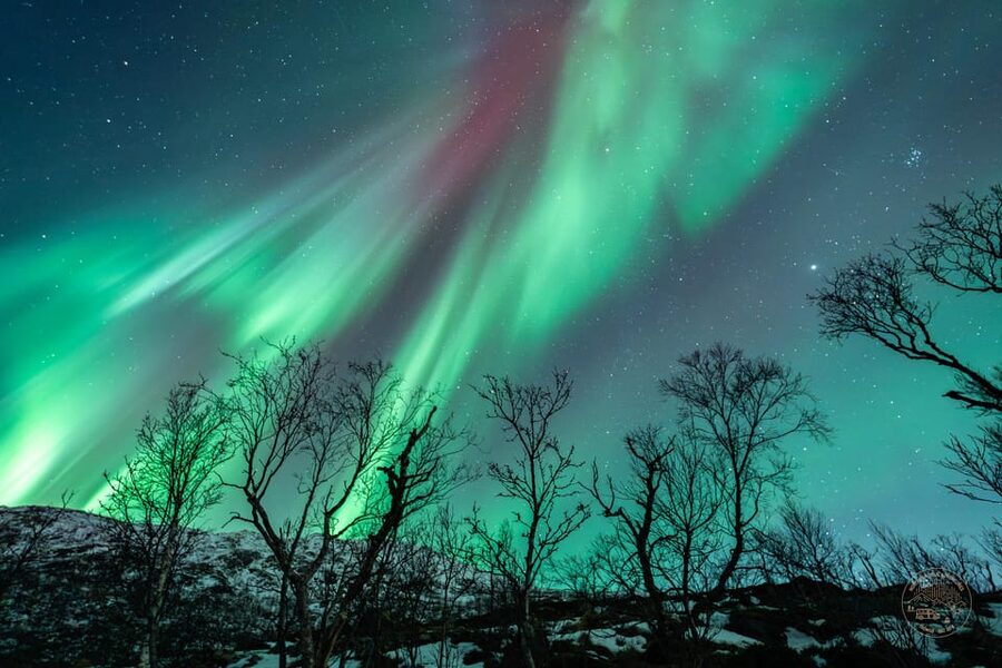 Tromsø: Northern Lights Photography Small-Group Tour - Key Points to Know Before You Go
