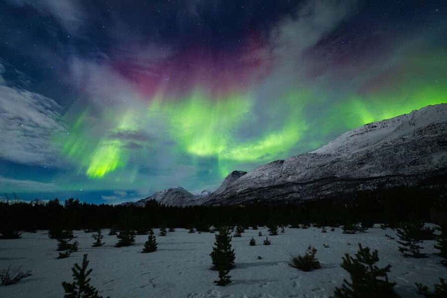 Tromso: Northern Lights Photography Tour - Aurora Science and Photo Coaching: What You Learn From Guides Like Thomas
