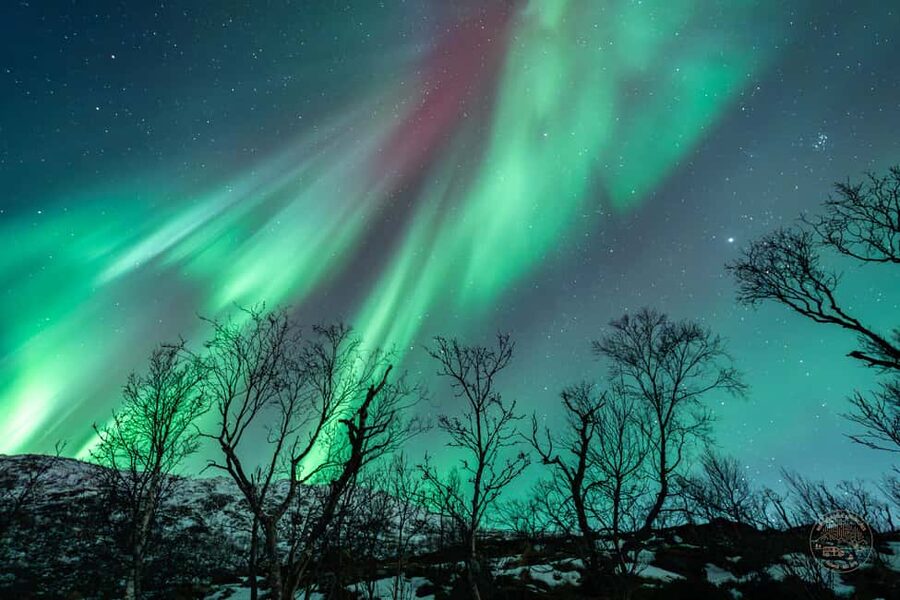 Tromso: Northern Lights Photography Tour - Hot Chocolate Break and Optional Pro Portraits: Treat Time Plus a Cost Check