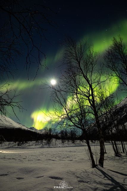 Tromso: Northern Lights Tour with Photographer - Arriving in Troms County: Waiting in the Right Kind of Darkness