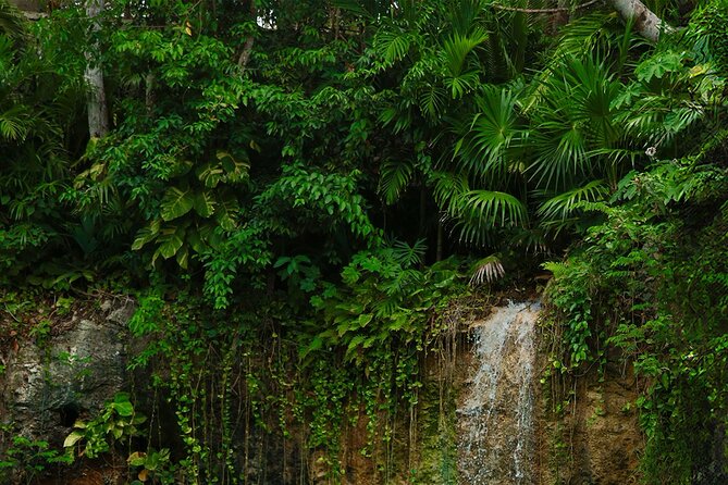 Tulum Essence Art and Photography Tour - Stop 2: Atik Tulum Park and photos in the cenote park zone