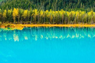 Turnagain Arm Highlights Photo Tour - Price and value: what you’re really paying for