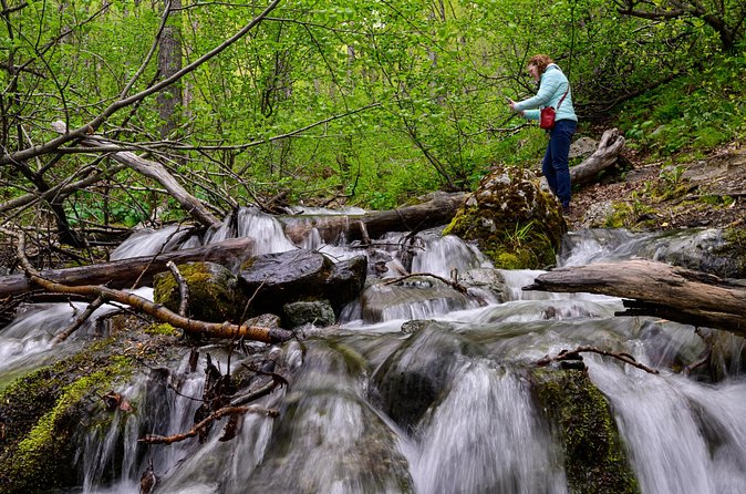 Turnagain Arm Highlights Photo Tour - Stop 1: Falls Creek Trail and quick ways to practice composition