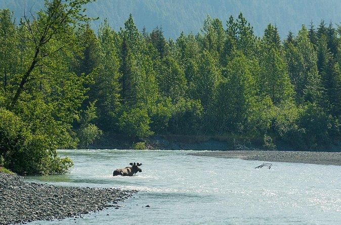 Turnagain Arm Highlights Photo Tour - Stop 3: Portage Valley Recreation Area for water mood and steady framing