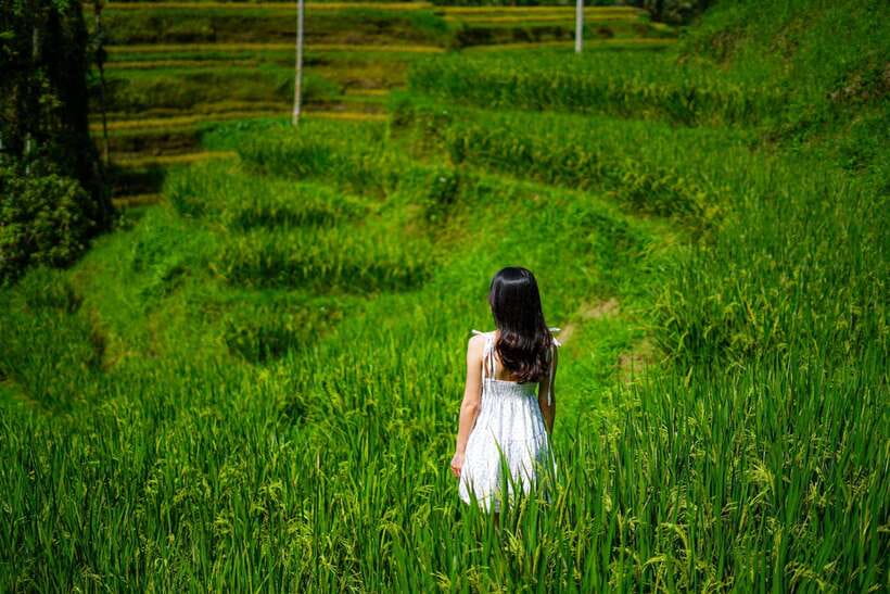 Ubud: Bali Swing hidden waterfall with personal photographer - Price and What You’re Really Paying For (That $25 Tag)