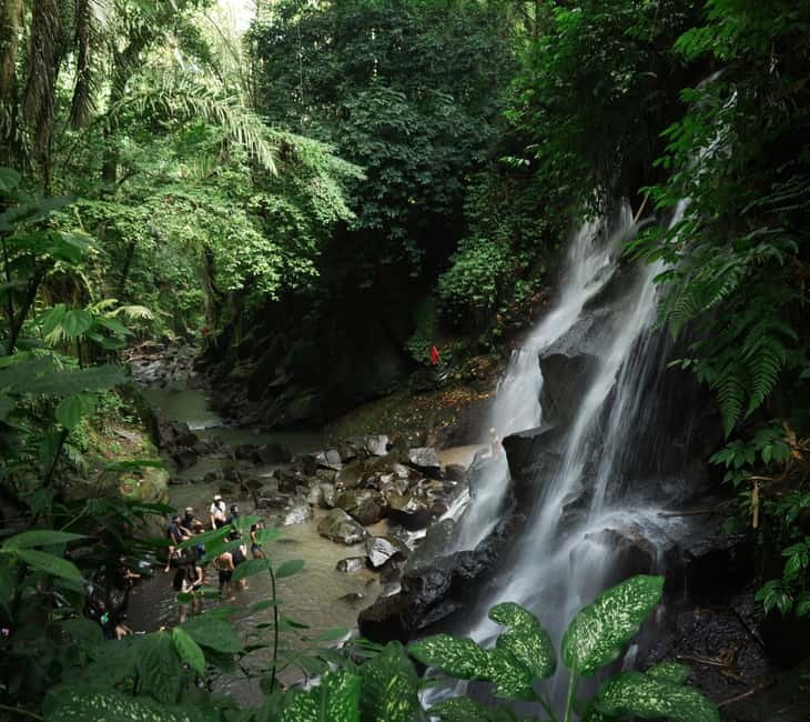 Ubud: Bali Swing hidden waterfall with personal photographer - The 7:00–8:00am Start: Why It’s Worth Being Early