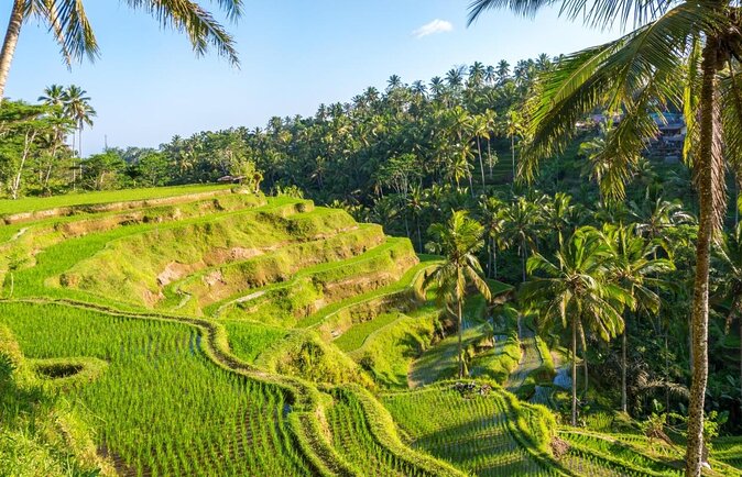 UBUD Instagram Spot Tour with Photographer - Key things I’d prioritize before you book