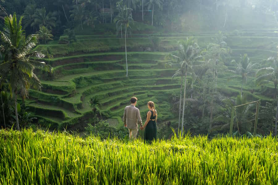 Ubud: Photography Private Tour Rice Terrace Waterfall Swing - Tibumana + Kanto Lampo waterfalls: calm pools, fast conditions, real photo rewards