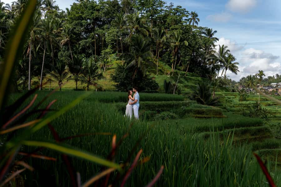 Ubud: Photography Private Tour Rice Terrace Waterfall Swing - Price and value: is $52 a good deal?