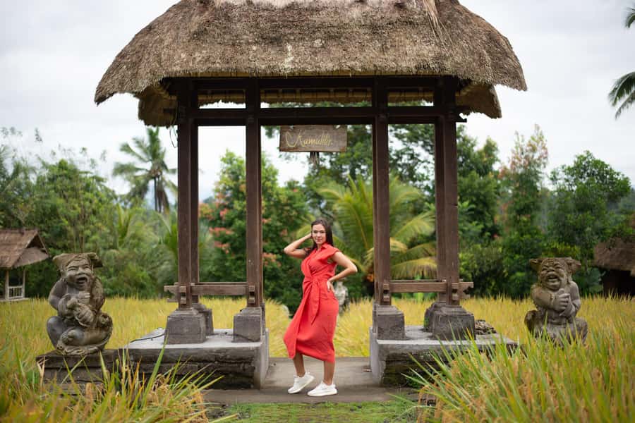 Ubud Private Customized Full-day Tours with Photographer - Price and what you really get for it