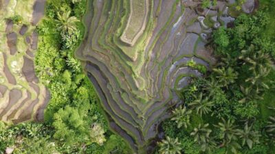 Ubud Private Customized Full-day Tours with Photographer - Pickup timing and how to plan your morning