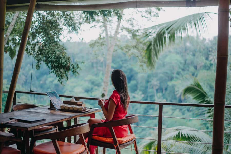 Ubud Private Customized Full-day Tours with Photographer - Waterfalls and the Ubud swing: how to avoid a stressful day