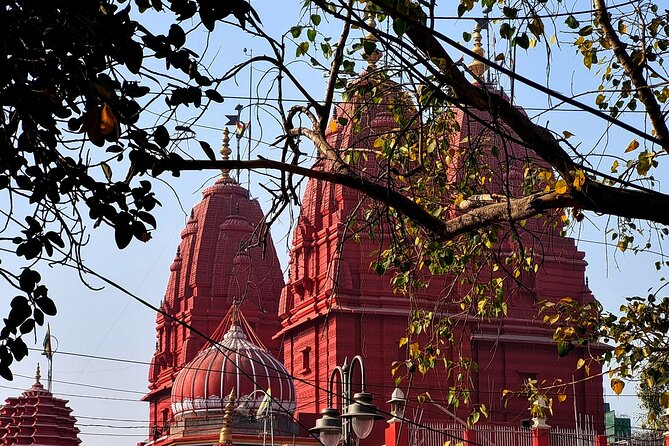 Unlock Delhi's Secrets: Food and Photography Full Day Tour - The Food Moment: What Those Snacks Really Do for the Day