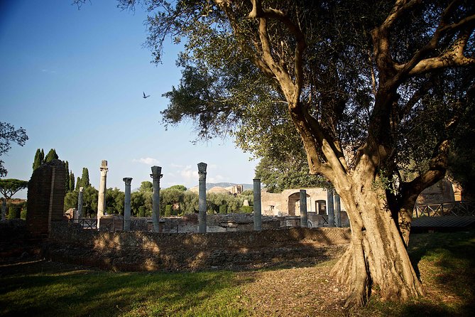 Villa Adriana and Villa d'Este Unique Photo Tour and Workshop - Villa Adriana in the morning: light, ruins, pools, and big-scale composition