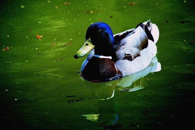 Villa Borghese and Posh Areas Unique Photo Tour and Workshop - Where the Tour Starts and Ends (and How That Helps)