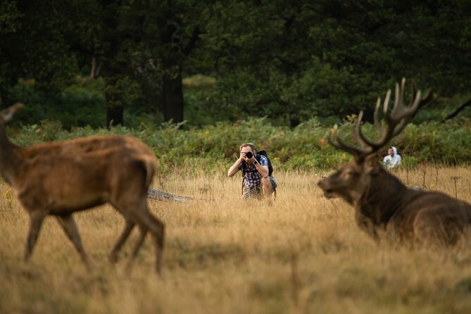 Wildlife Photography Workshop in Richmond Park in London - The 3-Hour Reality Check: What the Timing Means for Your Photos