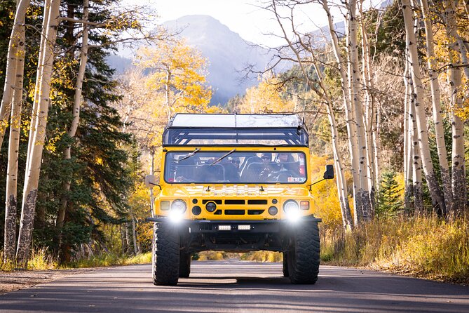 Winter Wonderland Adventure Tour | Sledding (Wildside 4x4 Tours) - Key highlights to know before you go