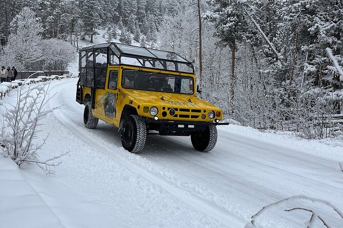 Winter Wonderland Adventure Tour | Sledding (Wildside 4x4 Tours) - The 4x4 ride, open views, and how long you’re out