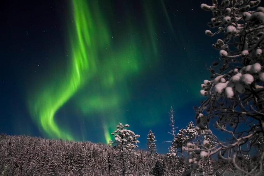 Ylläs: Seeking Northern Lights Photo Tour - Your guide doubles as a photographer (and a story teller)