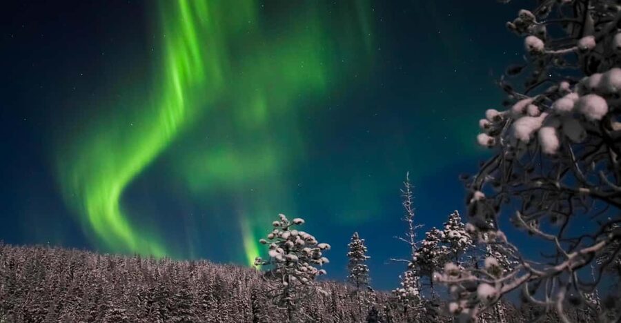 Ylläs: Seeking Northern Lights Photo Tour - Warm drinks and gingerbread: small comfort that keeps you outside