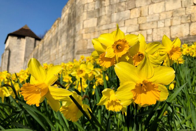 York 3-Hour Photography Walking Tour - The Shambles: Framing Medieval Lanes Without Getting Overwhelmed